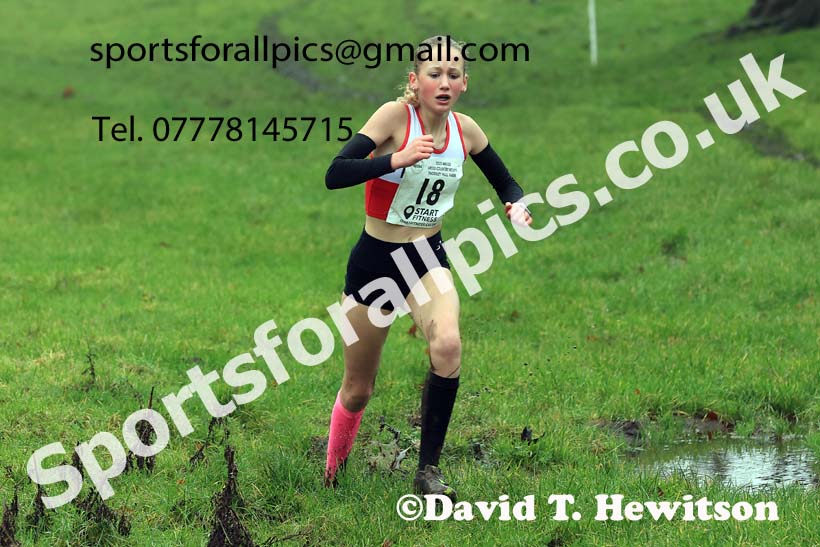 Girls under-13s 2023 NECAA Cross Country Relays, Thornley Hall Farm, Peterlee, County Durham. Photo: David T. Hewitson/Sports for All Pics